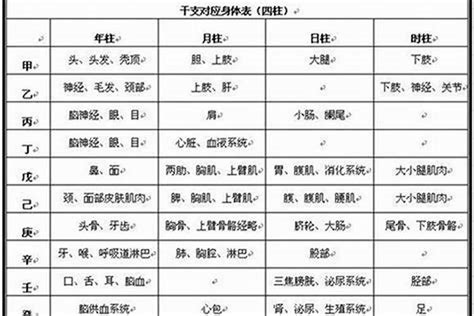 八字看疾病|八字五行怎么看健康疾病？现代四柱断疾病标志详解